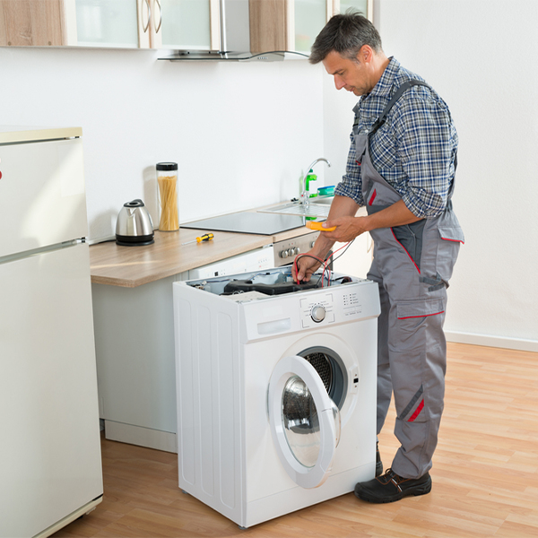 can you walk me through the steps of troubleshooting my washer issue in Lochearn